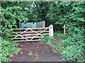 Footpath through Hethel Wood