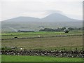 Farmland, Laidhay