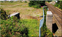 D4102 : Railway bridge remains, Larne by Albert Bridge
