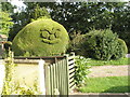 Intriguing topiary in Fox Lane, Darsham