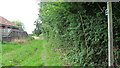 Footpath from The Street to Priory Farm