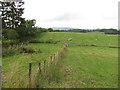 Small fields, Eastham