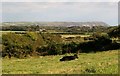 View south-eastwards across farmland from the Ty Engan road junction