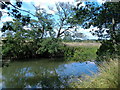 River Derwent north east of Scrayingham