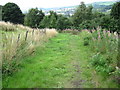 Colne Valley Circular Walk footpath