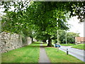 Looking up High Beck Side