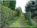 Footpath off Bottom Boat Lane