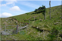 SN8244 : Gate onto the access land by Graham Horn
