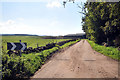 Farm road to the farm at Urchany