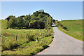 Road near Burnside of Geddes