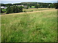 Footpath towards Helme