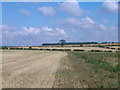SE7968 : Field margin, Sutton Wold by JThomas