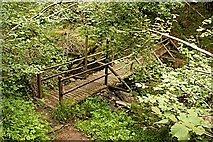 N3607 : Forest Footbridge by kevin higgins