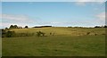 View across a tributary valley of Afon Fawr towards a drumlin