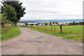 Road to Kilcoy Brae