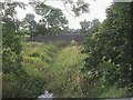 Upstream Aldbrough Beck