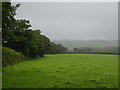 Pasture at Treboy Farm