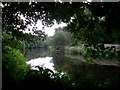 River Clyde at Bothwell Castle