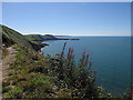 Ceredigion coast path below Penmoelciliau