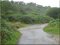  : Ford at Wheal Bray by Rod Allday