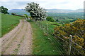 Track towards Ty-uchaf