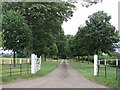 Tree-lined drive to New House