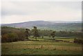 Pasture at Selworthy, Somerset