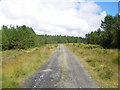 ND3262 : Forest road Moss of Quintfall by John Ferguson