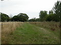 Bampton, footpath