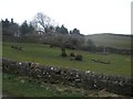 English Cemetery