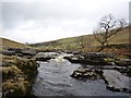 SD9079 : Looking upstream on the Wharfe by DS Pugh