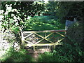 Ornamental field gate, Pontgarreg