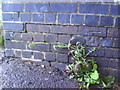 Benchmark on Railway Bridge east of Ashley Down Road