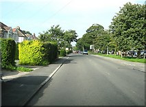 SD5519 : Runshaw Lane, Euxton by Ann Cook