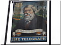 TQ3073 : The Telegraph, pub sign by Alex McGregor