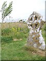 Lichen covered gravestone, St Martin