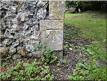 TM4481 : Bench mark on Stoven St Margaret's church by Adrian S Pye