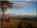 Panoramic Sheffield View from near Grenoside