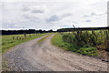 ND3049 : Farm road at Blingery by Steven Brown