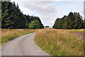 ND3148 : Gravel road to Blingery Farm by Steven Brown
