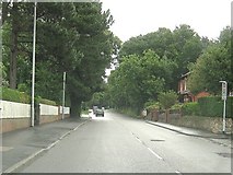 SD5421 : Church Road, Leyland by Ann Cook