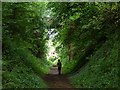 Potato Lane bridge, Swannington