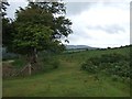 Moorland path near Primm Cottage, Sherberton Common, Dartmoor