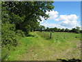 R6359 : Farm track near Gilloge Bridge by David Hawgood