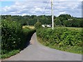 Lane To Penrhos