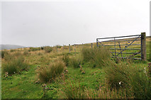 NH5192 : Fence marking the edge of the moorland near Wester Gruinards by Steven Brown
