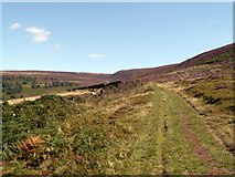 SK0298 : Tintwistle Low Moor Track by John Fielding