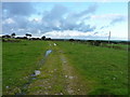 Bridleway to New Park Farm