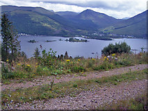 NN0860 : Forestry track above Loch Leven by Richard Dorrell