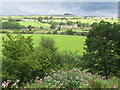 The valley of the River South Tyne between Shankfoot and Woodhall (2)